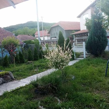 Apartmani Lina Ribarska Banja Buitenkant foto